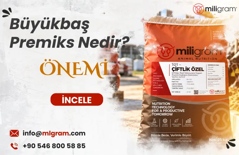 Büyükbaş Premiks Nedir?